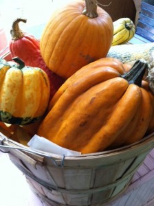 pumpkin